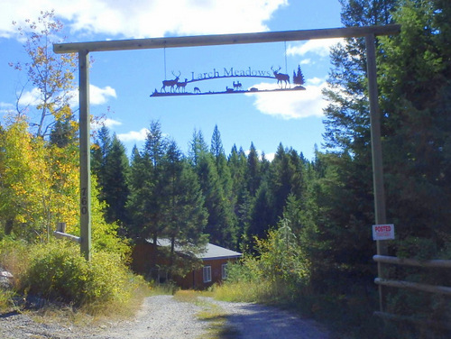 Larch Meadows.